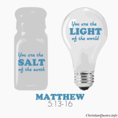 You are the salt of the earth … You are the light of the world, (Mt  5:13-16)